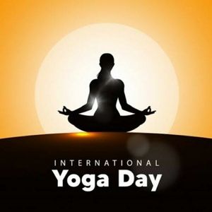 Meet your Posher, Dolly